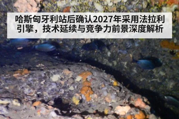 哈斯匈牙利站后确认2027年采用法拉利引擎,技术延续与竞争力前景深度解析